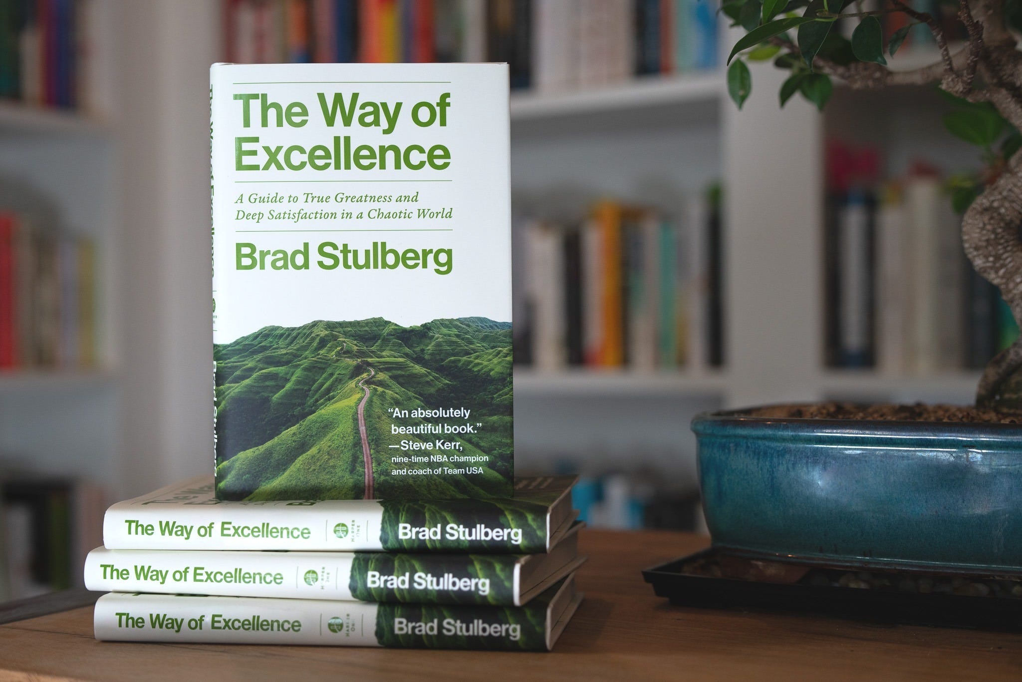 Cover of The Way of Excellence by Brad Stulberg
